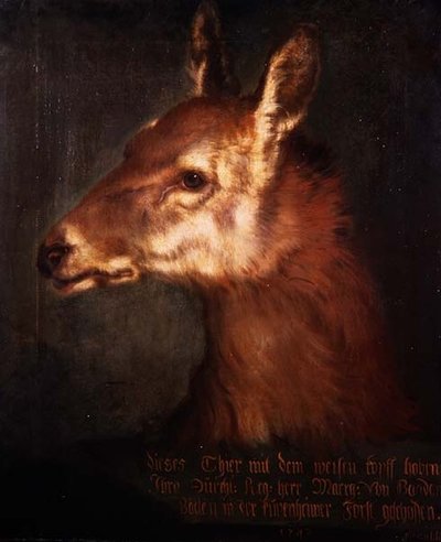 Head of a Roebuck by Heinrich Lihl