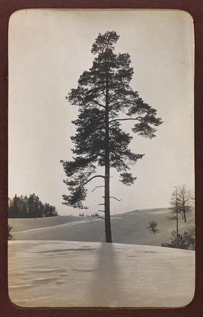 First World War: The Ukraine in the Years 1914-1916 During the Invasion of the German Army. Landscape with Snow by Heldenfriedhof Dsessentniki (attr. to)
