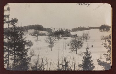 First World War: Ukraine in the years 1914-1916 during the invasion of the German army. View with snow (b/w photo) by Heldenfriedhof Dsessentniki (attr. to)