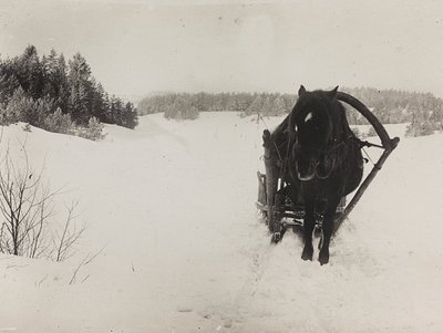 First World War: Ukraine in the years 1914-1916 during the invasion of the German army. A horse-drawn sleigh in the snow (b/w photo) by Heldenfriedhof Dsessentniki (attr. to)