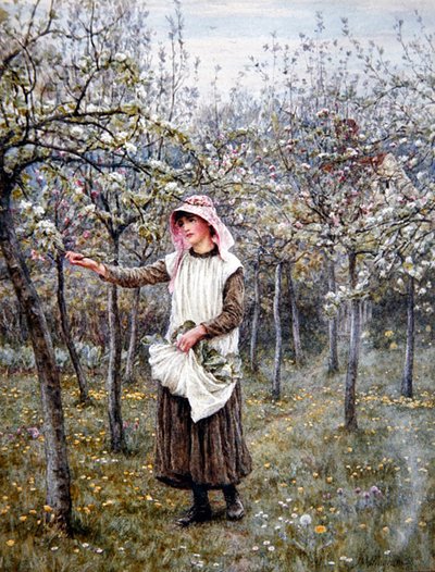 Blossom Time by Helen Allingham