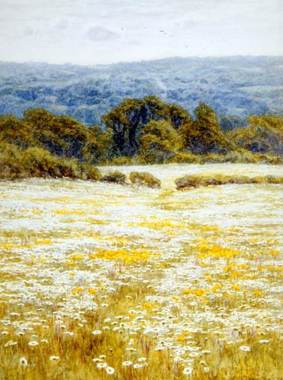 Oxeye Daisies, near Westerham, Kent by Helen Allingham