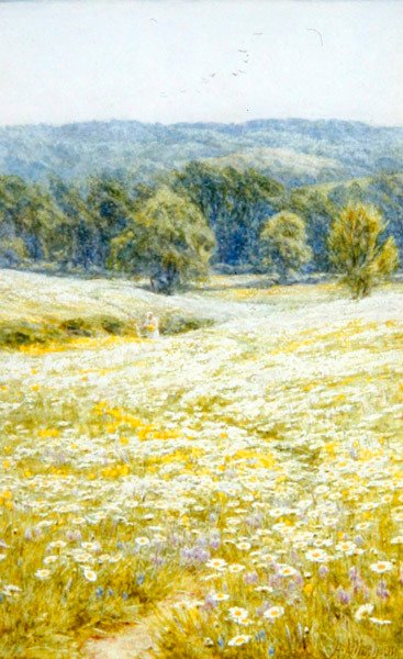 Oxeye Daisies, near Westerham, Kent by Helen Allingham