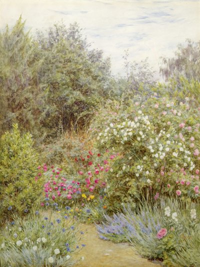 Roses in Gertrude Jekyll