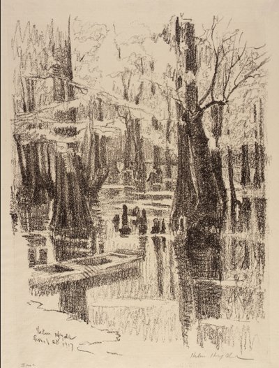 Cypress Swamp by Helen Hyde