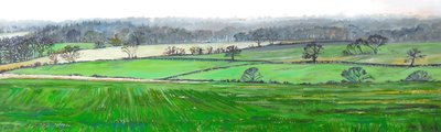 From the Top of Farley Hill, 2008 by Helen White