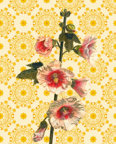 Hollyhocks on Sunshine by Helen White
