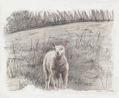 Lamby, 2016 by Helen White