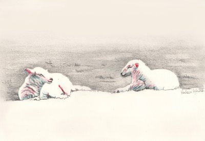 Napping by Helen White