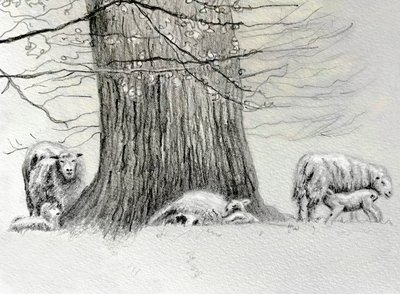 Shady Tree, 2022 by Helen White