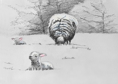 Sheep Trio, 2022 by Helen White