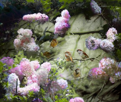 Spring Sparrows by Helen White