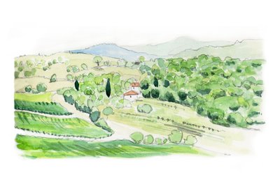 Tuscan Hill, 2014 by Helen White