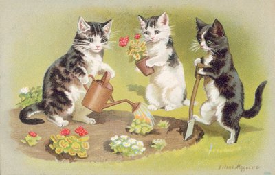 Cat Postcard by Helena J. Maguire