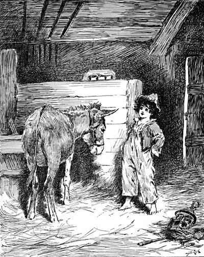 Piccino and His Friend The Donkey by Helena J. Maguire
