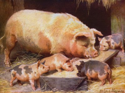 Sow and Piglets by Helena J. Maguire
