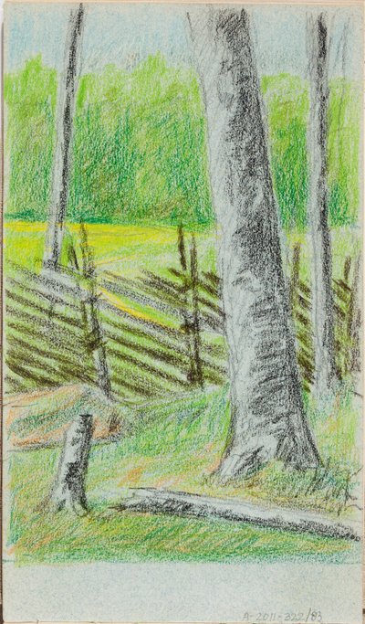 Untitled by Helene Schjerfbeck
