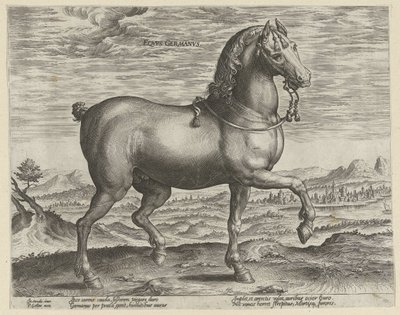 Stallion from Germany by Hendrick Goltzius (possibly)