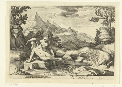 Salmacis and Hermaphroditus (series title: Ovid