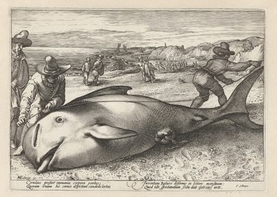 Two Men Measuring a Stranded Whale by Hendrick Goltzius (workshop of)