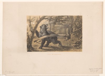 Bear in a Trap by Hendrik Adriaan Christiaan Dekker