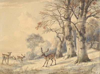 Deer under Beech Trees in Summer, 1853 by Hendrik Gerrit ten Cate
