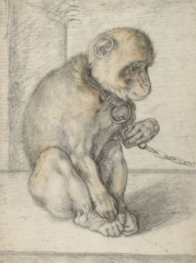 A Seated Monkey on a Chain by Hendrik Goltzius