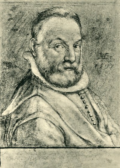 Portrait of a Man with a Beard, 1597 by Hendrik Goltzius