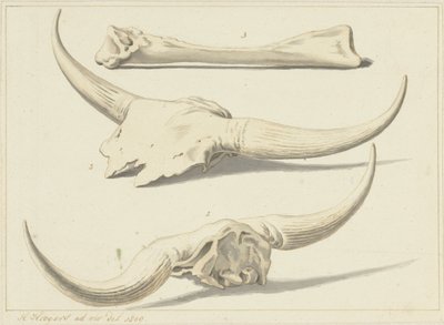 Fossil Bones of an Aurochs, Found During the Flood, 1809 by Hendrik Hoogers