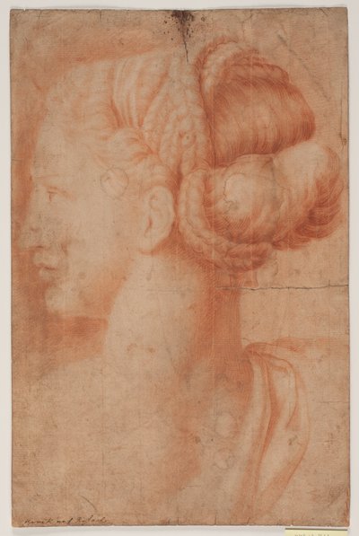 Study after Female Head in Raphael: 