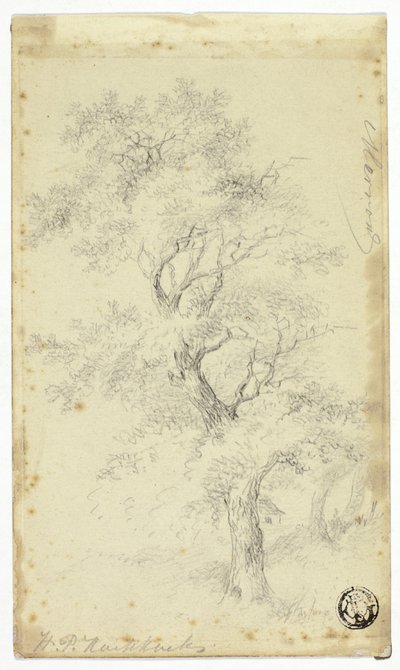 Merron by Hendrik Pieter Koekkoek