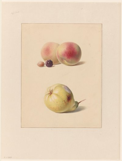 Peach, Blackberry, and Hazelnut and a Pear by Hendrik Reekers