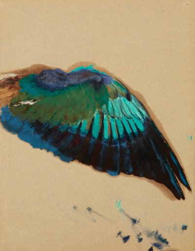 Study of a Wing by Henryk Siemiradzki