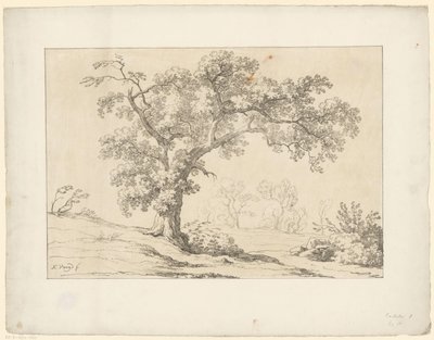 Tree in Landscape Tentamina Lithographica (series title) Italian Landscapes (series title) by Hendrik Voogd