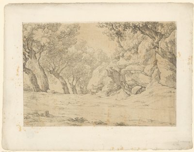 Avenue with Overgrown Rocks (series title: Tentamina Lithographica, Italian Landscapes) by Hendrik Voogd