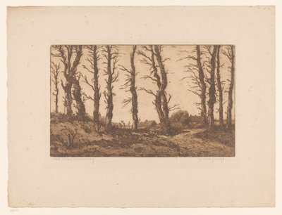 Old Blaricummerweg by Hendrik Weegewijs (signed by artist)
