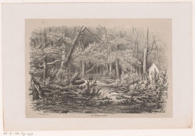Fallen Trees at Jacobalaan After the Storm of May 28, 1860 by Hendrik Wilhelmus Last