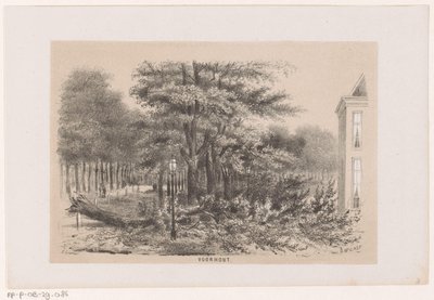 Fallen Tree at Voorhout After the Storm of May 28, 1860 (series: Album of Ten Lithographed Sketches Depicting Scenes of the Destruction Caused by the Storm of May 28, 1860 in The Hague Forest, Scheveningen) by Hendrik Wilhelmus Last