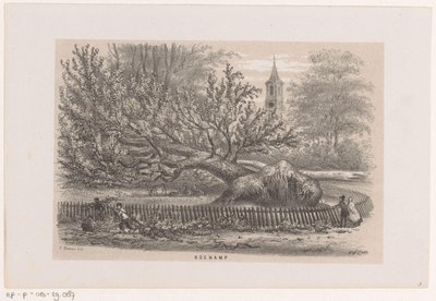 Fallen Tree by the Koekamp, After the Storm of May 28, 1860 by Hendrik Wilhelmus Last