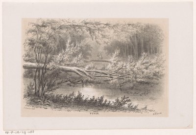 Fallen Tree After the Storm of May 28, 1860 by Hendrik Wilhelmus Last