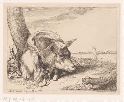 Lying Goat by Water (Various Animals) by Hendrik Willem Schweickhardt
