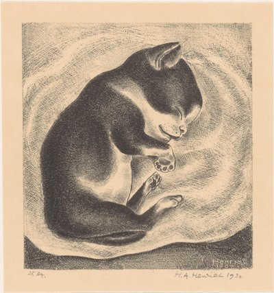 Sleeping Young Cat by Henk Henriët (signed by artist)