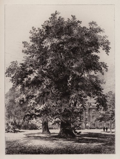 The Garden of Christ