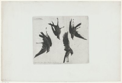 Four Dead Crows Hanging on a Wall by Henri Charles Guérard (signed by artist)