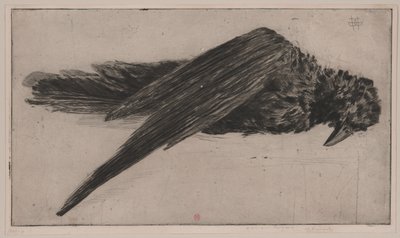 The Large Hanging Raven by Henri Charles Guérard