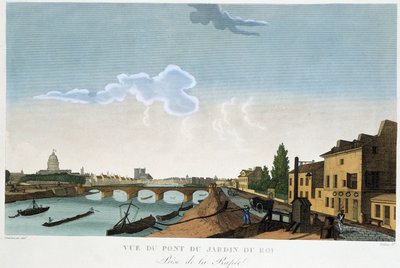 View of the King