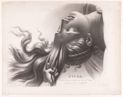 Head of a Young Woman Being Pulled by the Hair (Study after the Painting of a Scene from the Deluge by A.L. Girodet) by Henri Guillaume Chatillon