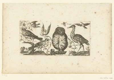 Nine Birds and an Insect (Birds) by Henri Le Roy