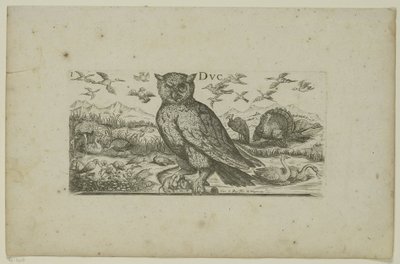 Owl and Other Birds Birds (series title) by Henri Le Roy