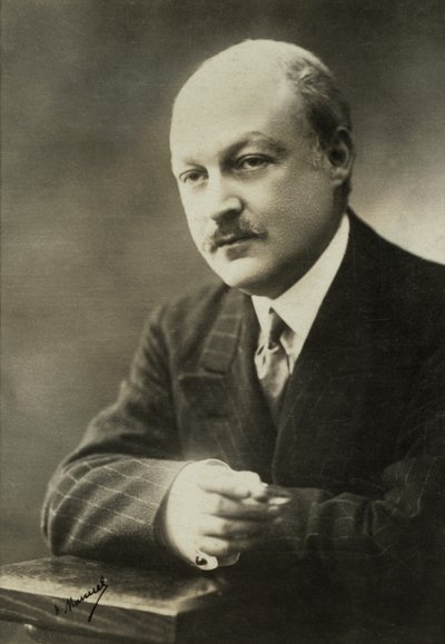 Portrait of Fernand Vanderem by Henri Manuel